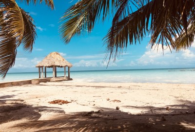 bildergalerie image 1