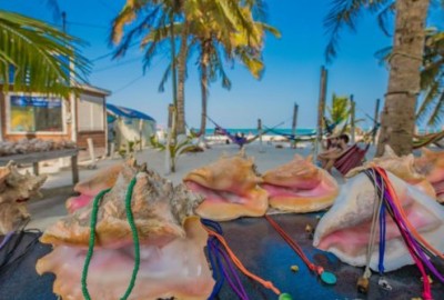 bildergalerie image 2