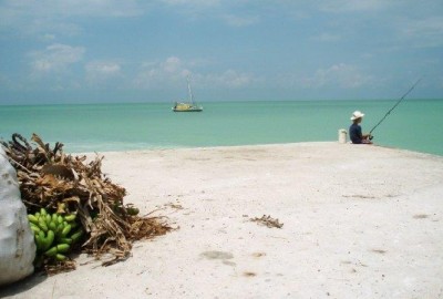 bildergalerie image 8