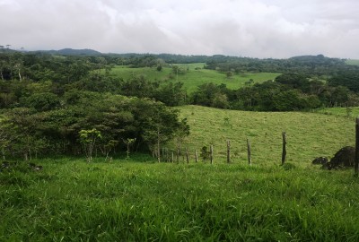 bildergalerie image 1