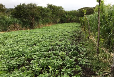 bildergalerie image 2