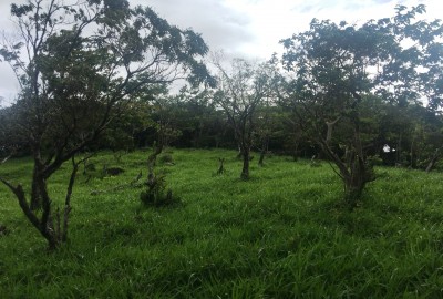 bildergalerie image 3