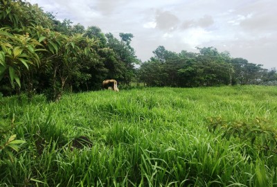 bildergalerie image 4