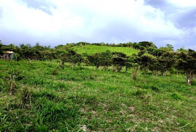 bildergalerie image 6