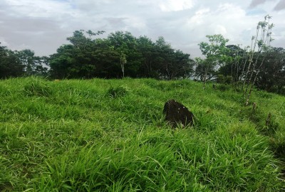 bildergalerie image 7