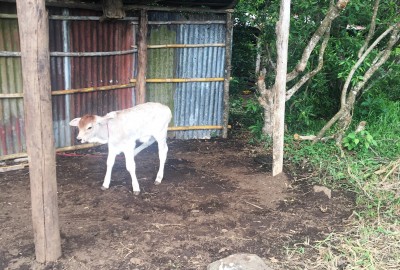 bildergalerie image 8