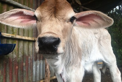 bildergalerie image 9