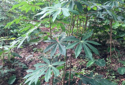 bildergalerie image 10