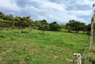 bildergalerie image 12