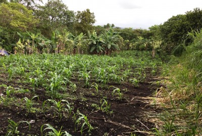 bildergalerie image 13