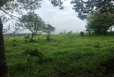 bildergalerie image 14