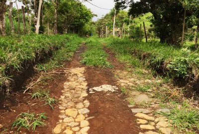 bildergalerie image 15