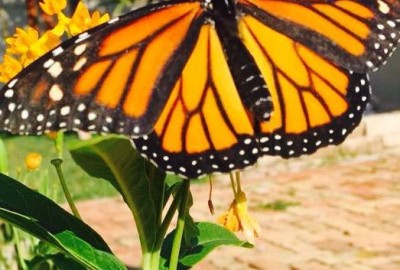 bildergalerie image 5