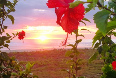 bildergalerie image 7