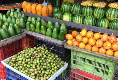 bildergalerie image 12