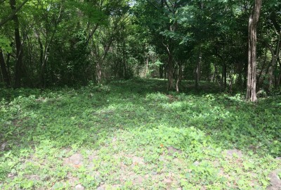 bildergalerie image 3