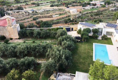 bildergalerie image 6