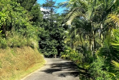 bildergalerie image 13