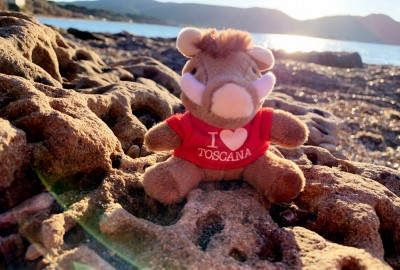 bildergalerie image 19