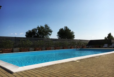 bildergalerie image 16