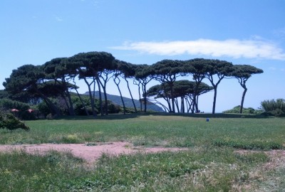 bildergalerie image 22