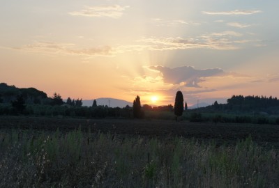 bildergalerie image 23