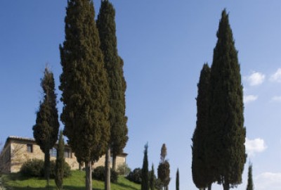 bildergalerie image 26