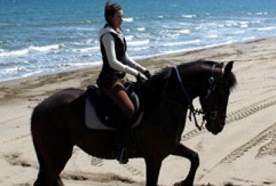 bildergalerie image 27