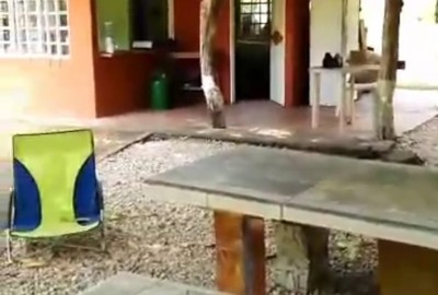 bildergalerie image 4