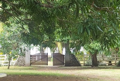 bildergalerie image 5