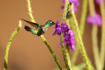 bildergalerie image 1