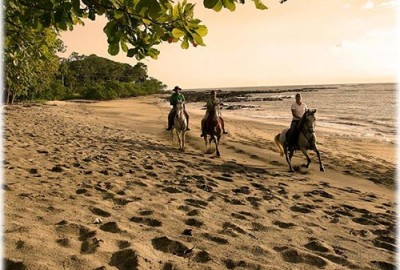 bildergalerie image 2