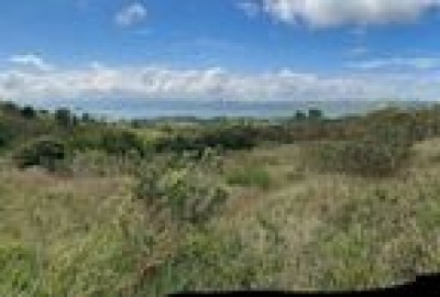 bildergalerie image 1