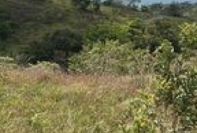 bildergalerie image 4