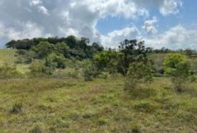 bildergalerie image 9