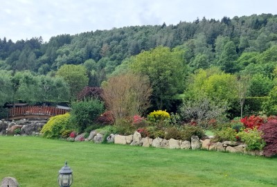 bildergalerie image 1