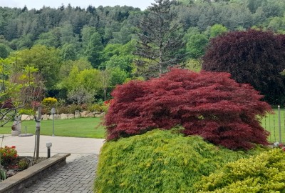 bildergalerie image 4