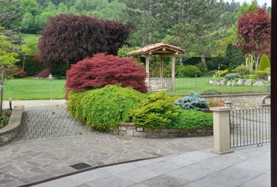 bildergalerie image 6