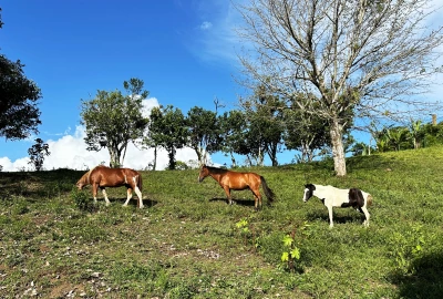 bildergalerie image 1