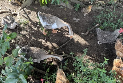 bildergalerie image 4