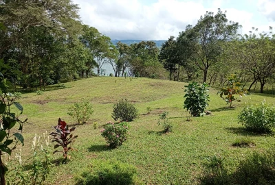 bildergalerie image 2