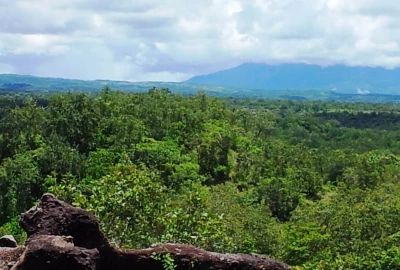 bildergalerie image 2