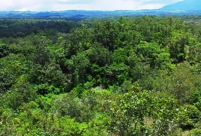 bildergalerie image 4