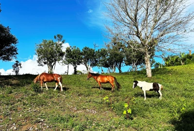 bildergalerie image 5