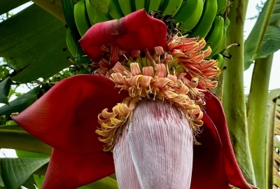 bildergalerie image 5