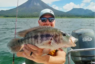 bildergalerie image 6