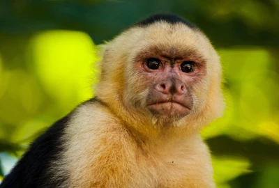 bildergalerie image 9