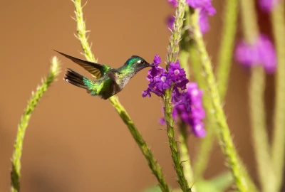 bildergalerie image 11