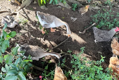 bildergalerie image 9